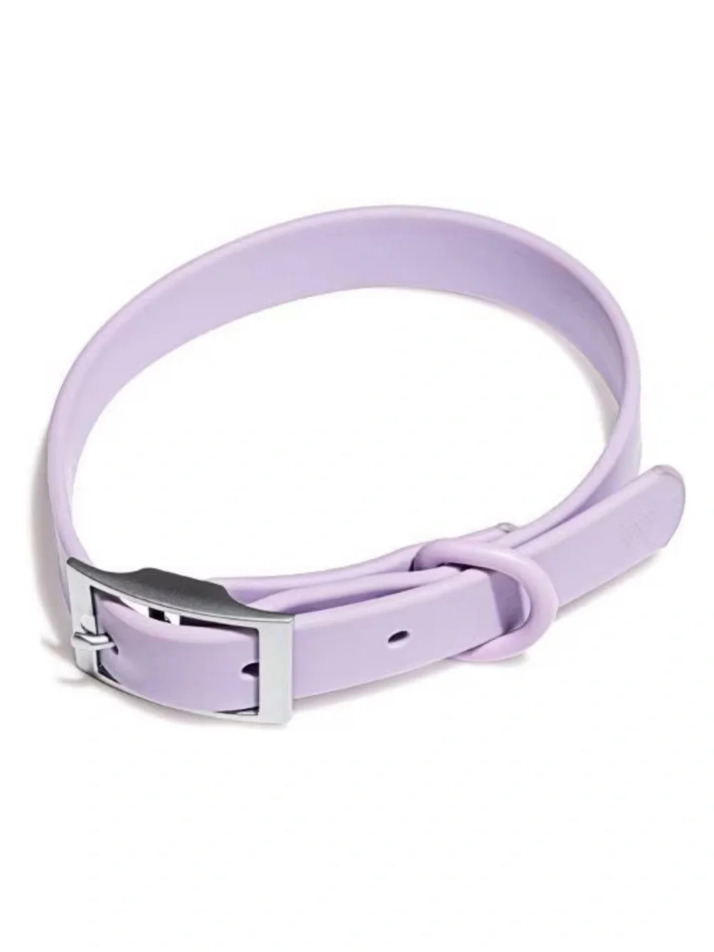 Wild One Adjustable Waterproof Flex-Poly Coated Nylon Dog Collar, Lilac, Small